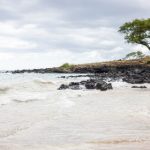 沉腰缓缓进入整根 3hb1ux8gr