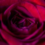 影音先锋无码电影专区 966o9dn