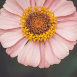 飞极速在线官方网站 koo6iu0t