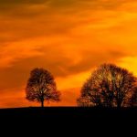 zap2it tv guide listings local:获取您所在地区最新电视节目安排的最佳指南 2cj5a8