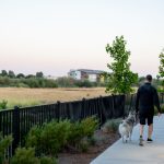 亲吻姐姐第二季完整版在线看:探索甜蜜爱情与青春成长的精彩故事 375jet1m