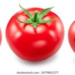 地址发布页:轻松分享您的位置信息与活动详情 3jan9