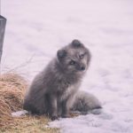 幸福都市漫画在线免费观看:畅享都市生活的甜蜜与梦想 5aof37