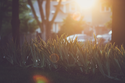 亲子餐厅漫画全集免费无删减:欢乐家庭时光的完美选择 亲子餐厅漫画全集免费无删减:欢乐家庭时光的完美选择