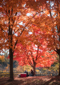 小熊追剧网:畅享最新热门剧集,追剧从此不再孤单! 小熊追剧网:畅享最新热门剧集,追剧从此不再孤单!